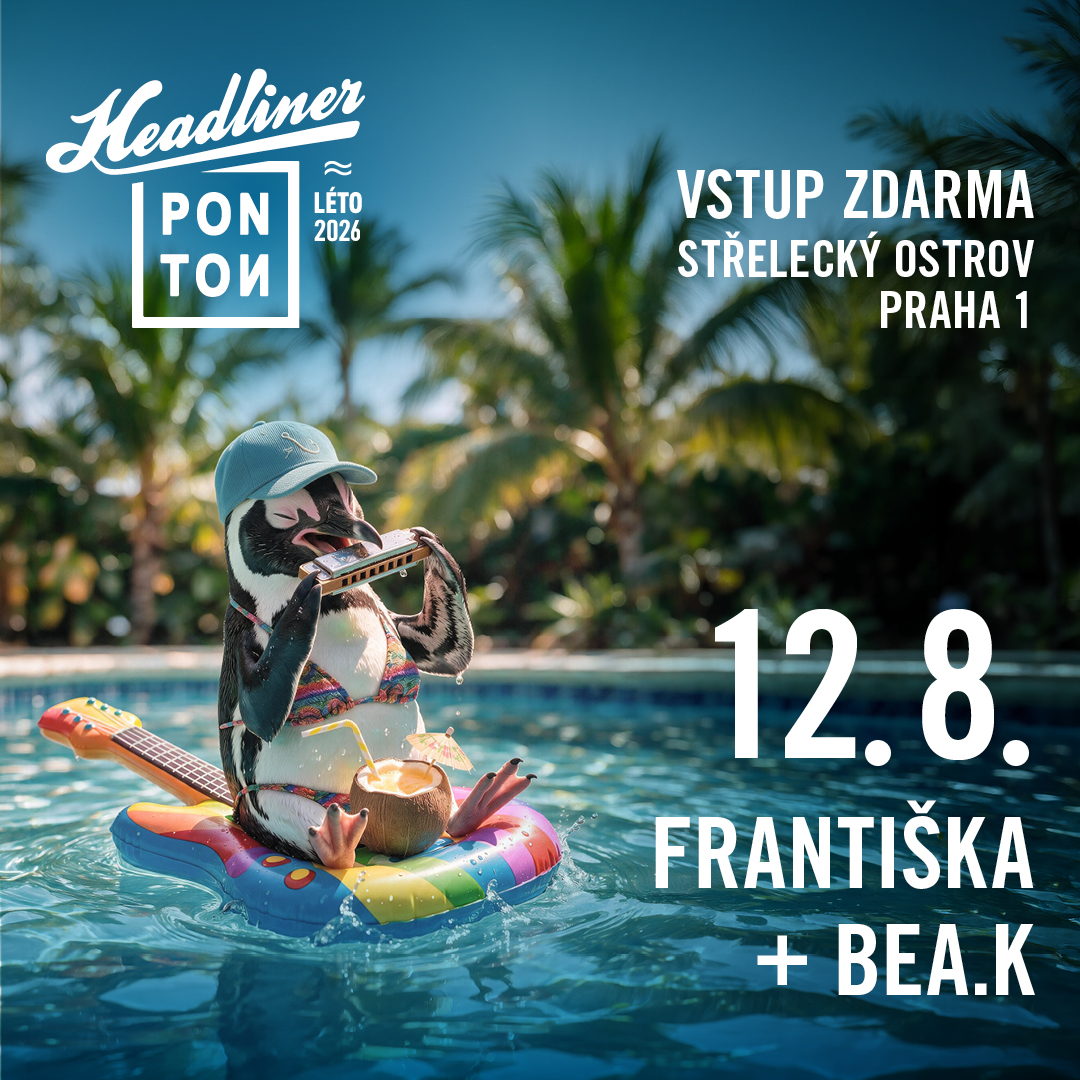 Headliner ponton 4