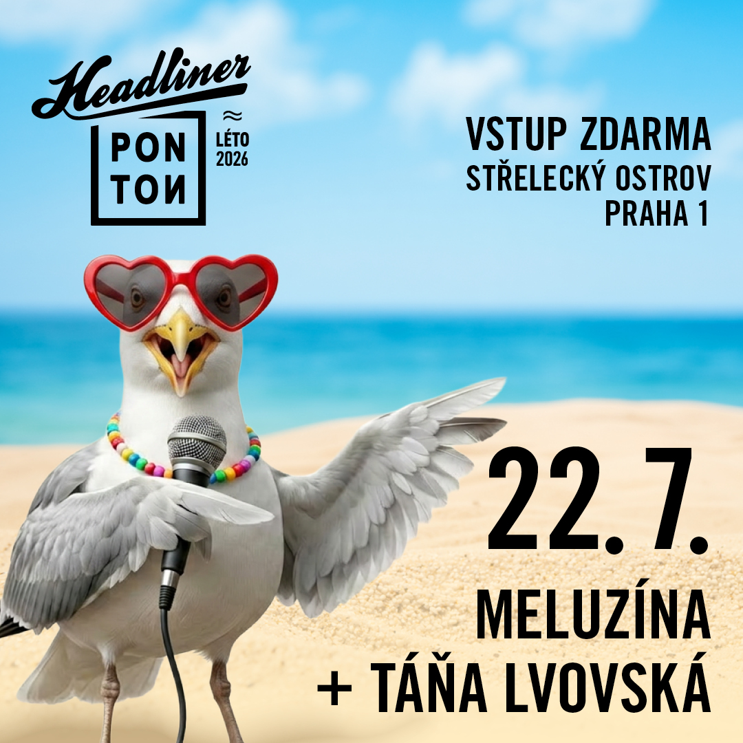 Headliner Ponton 3