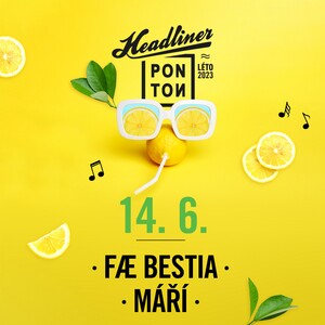 Ponton #2
