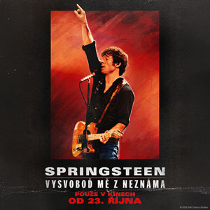 Bruce Springsteen - Falcon