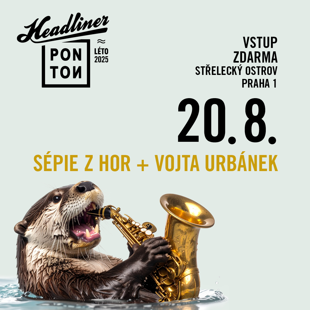 Headliner Ponton 4