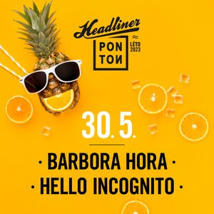 Headliner Ponton 1