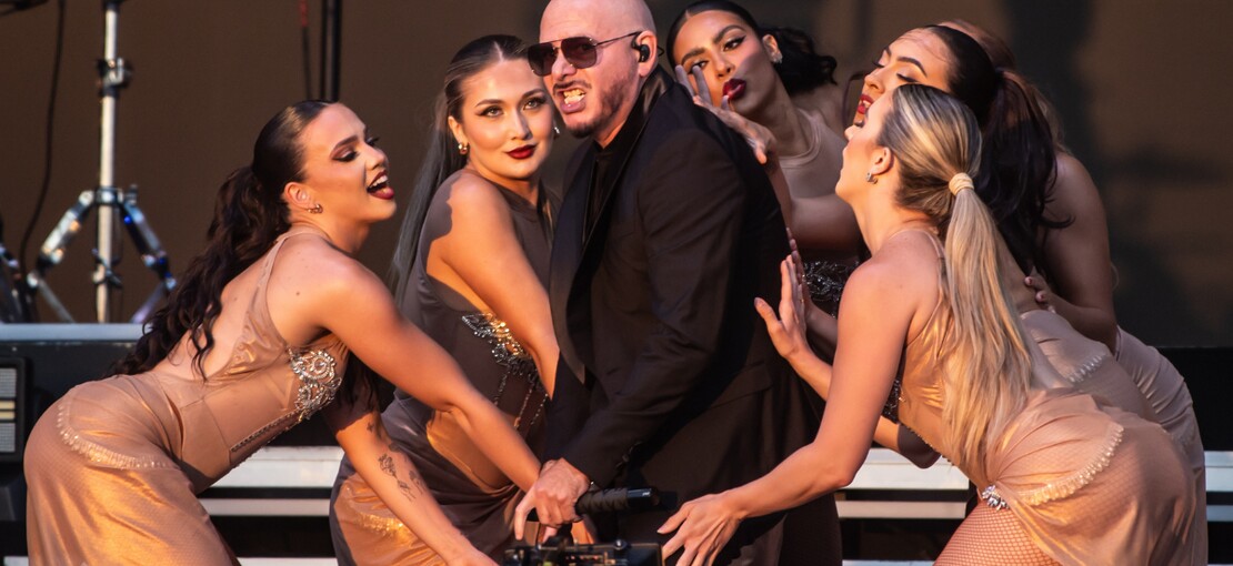 Obrázek k článku Dvacet dva tisíc plešounů. Pitbull se svými fanoušky vytvořil světový rekord