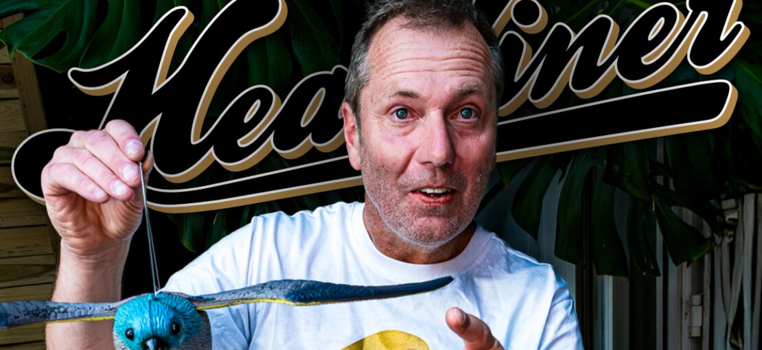 Obrázek k článku Xavier Baumaxa za hranicí šílenství a příběh St. Vincent.  Červencový Headliner je zdarma v aplikaci